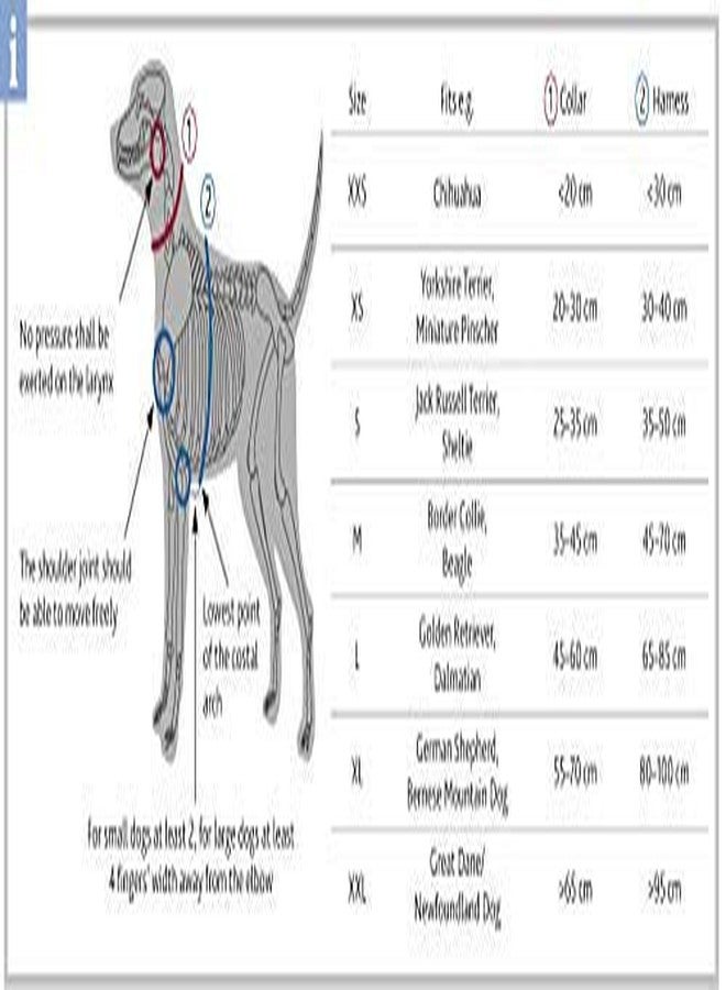 Trixie Premium H-Harness for Dogs (S-M, Indigo) - Image 2